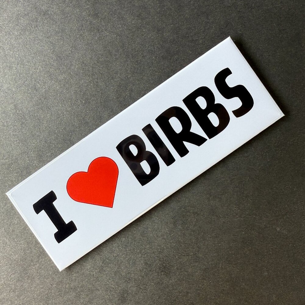 I LOVE BIRBS Magnet Funny Decor Handmade Gift for Birdwatchers Bird Owners